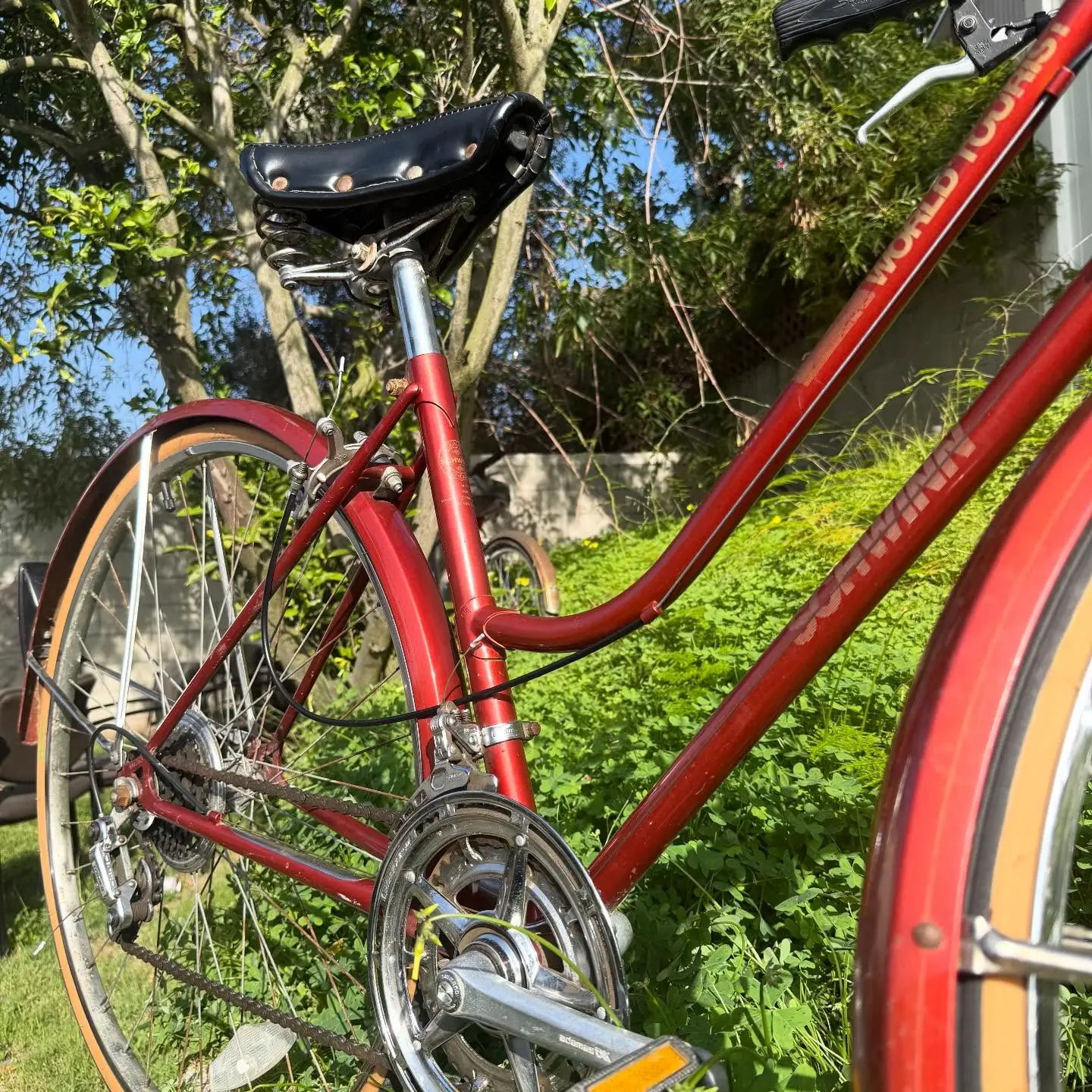 A red Schwinn-style step-through frame photographed in golden-hour light with garden foliage behind.